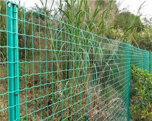 Welded Wire Mesh Fence Panels