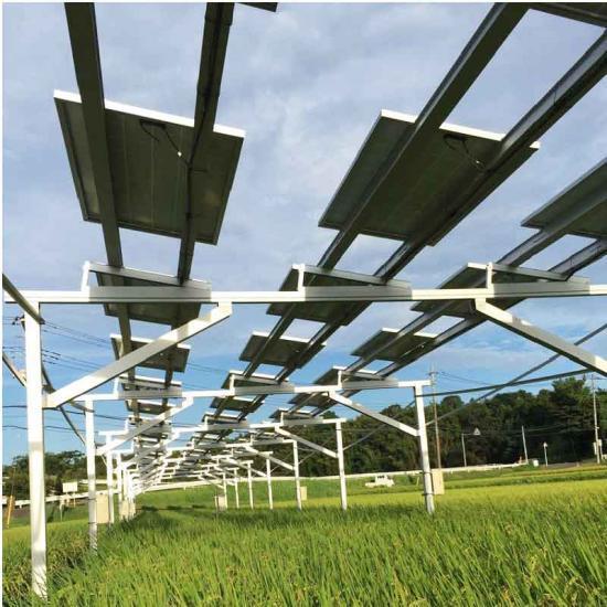 مزرعة الطاقة الشمسية الدفيئات الزراعية الشمسية نظام تركيب لوحة الزراعة الكهروضوئية الشمسية جبل قوس الإطار للمزرعة
